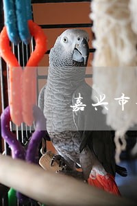 嘉兴市请离婚债务律师收费标准 嘉兴市请离婚债务律师收费标准