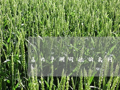 嘉兴平湖司法拍卖网 嘉兴平湖司法拍卖网