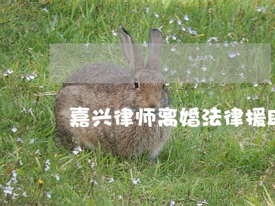 嘉兴律师离婚法律援助 嘉兴律师离婚法律援助