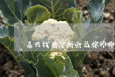嘉兴找看守所会见律师哪个好 嘉兴找看守所会见律师哪个好