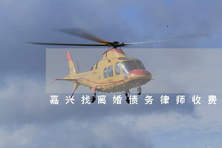 嘉兴找离婚债务律师收费 嘉兴找离婚债务律师收费