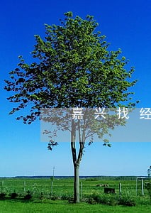 嘉兴找经济合同律师价格 嘉兴找经济合同律师价格