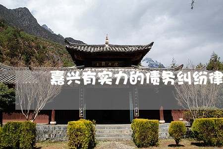 嘉兴有实力的债务纠纷律师价格 嘉兴有实力的债务纠纷律师价格