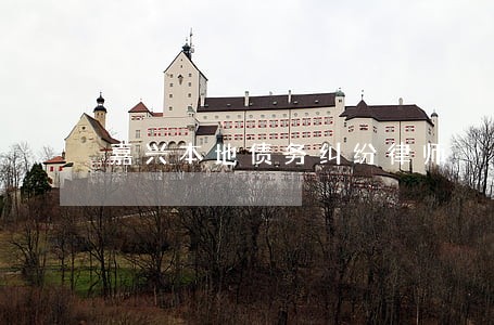 嘉兴本地债务纠纷律师 嘉兴本地债务纠纷律师
