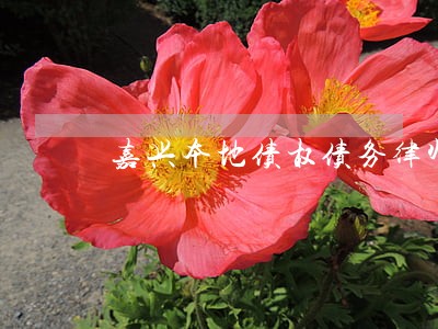 嘉兴本地债权债务律师找谁 嘉兴本地债权债务律师找谁