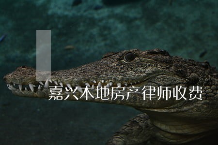 嘉兴本地房产律师收费 嘉兴本地房产律师收费