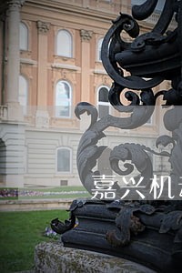 嘉兴机动车非现场违法 嘉兴机动车非现场违法