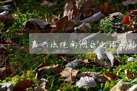 嘉兴法院南湖区电话号码
