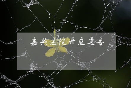 嘉兴法院开庭通告