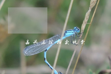 嘉兴法院拍卖税费