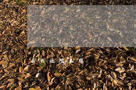 嘉兴法院朱禧 嘉兴法院朱禧