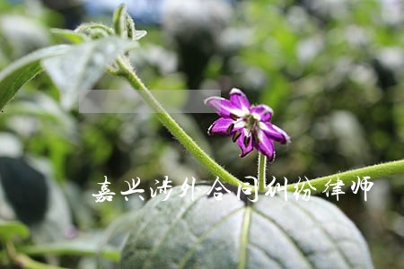 嘉兴涉外合同纠纷律师 嘉兴涉外合同纠纷律师