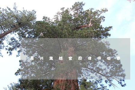 嘉兴离婚官司律师收费 嘉兴离婚官司律师收费
