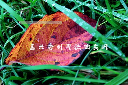 嘉兴秀州司法拍卖网 嘉兴秀州司法拍卖网