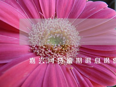 嘉兴网贷逾期退息退保二次分期 嘉兴网贷逾期退息退保二次分期