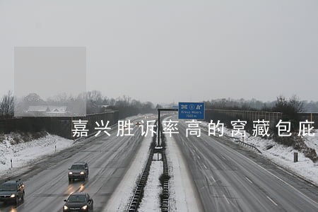 嘉兴胜诉率高的窝藏包庇罪律师费 嘉兴胜诉率高的窝藏包庇罪律师费