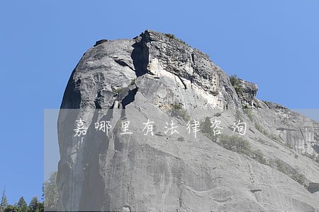 嘉哪里有法律咨询