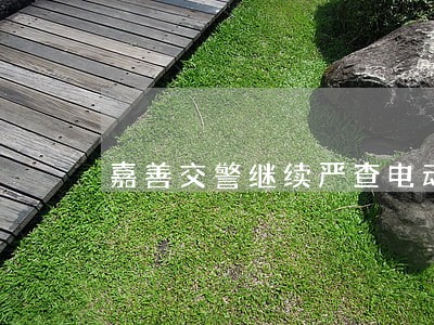 嘉善交警继续严查电动车违法行为