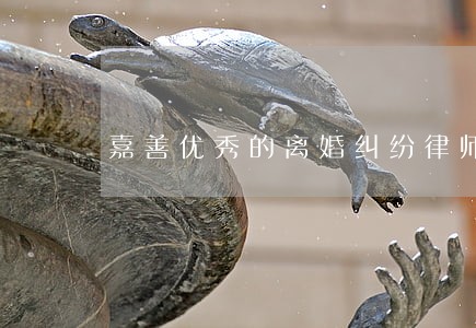 嘉善优秀的离婚纠纷律师平台