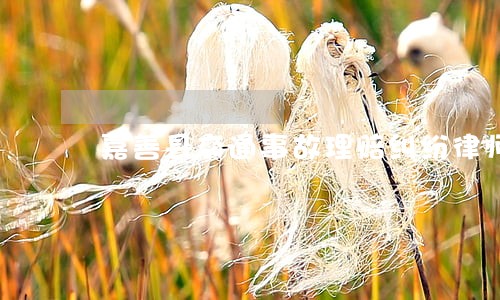 嘉善县交通事故理赔纠纷律师 嘉善县交通事故理赔纠纷律师
