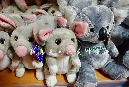 嘉善县司法局叶荣根 嘉善县司法局叶荣根