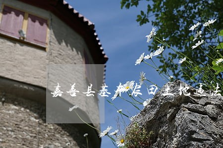 嘉善县基本农田土地违法实名举报 嘉善县基本农田土地违法实名举报