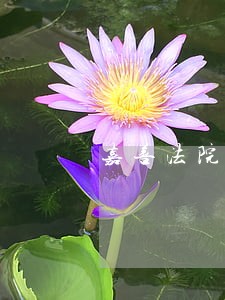 嘉善法院判刑信息