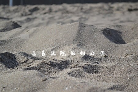 嘉善法院拍租公告 嘉善法院拍租公告