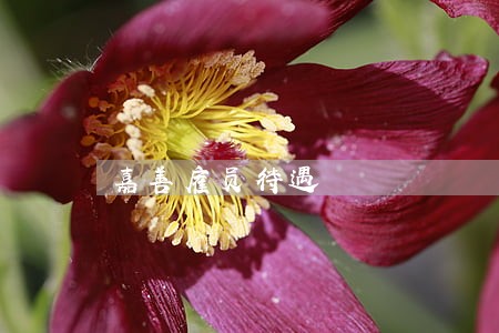 嘉善雇员待遇