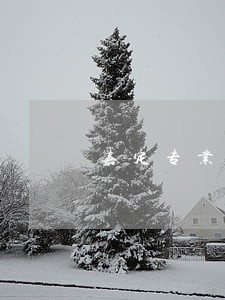 嘉定专业合同争议纠纷律师 嘉定专业合同争议纠纷律师