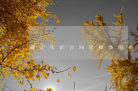 嘉定买房合同律师费用多少 嘉定买房合同律师费用多少
