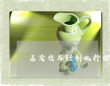 嘉定债务强制执行律师 嘉定债务强制执行律师