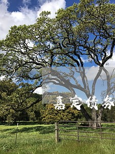 嘉定债务律师法斗士 嘉定债务律师法斗士