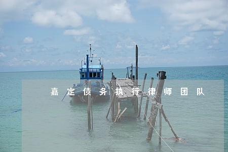 嘉定债务执行律师团队