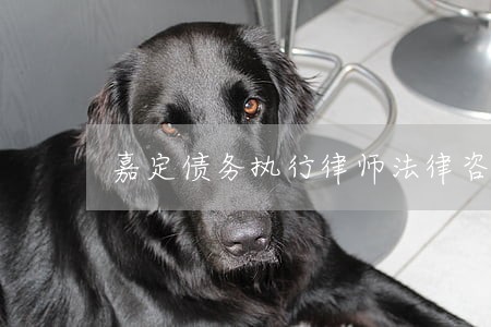 嘉定债务执行律师法律咨询 嘉定债务执行律师法律咨询