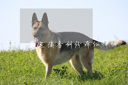 嘉定债务纠纷诉讼律师 嘉定债务纠纷诉讼律师