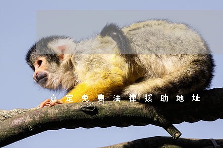 嘉定免费法律援助地址