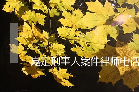 嘉定刑事大案件律师电话咨询
