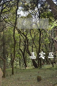 嘉定区专注于租赁合同律师要多钱 嘉定区专注于租赁合同律师要多钱