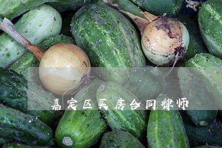 嘉定区买房合同律师 嘉定区买房合同律师