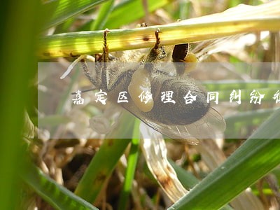 嘉定区修理合同纠纷律师团队 嘉定区修理合同纠纷律师团队