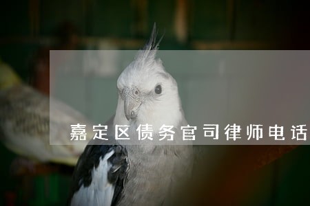 嘉定区债务官司律师电话 嘉定区债务官司律师电话