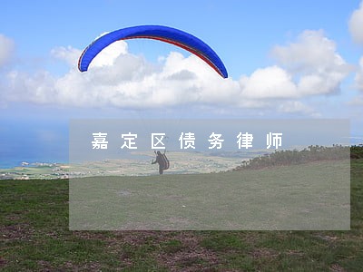 嘉定区债务律师 嘉定区债务律师