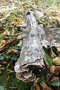 嘉定区债务律师咨询电话 嘉定区债务律师咨询电话
