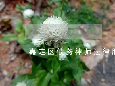 嘉定区债务律师法律服务收费 嘉定区债务律师法律服务收费