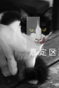 嘉定区刑事案收费标准律师费用 嘉定区刑事案收费标准律师费用
