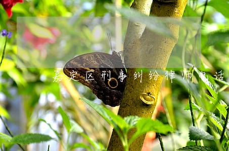 嘉定区刑事纠纷律师电话 嘉定区刑事纠纷律师电话