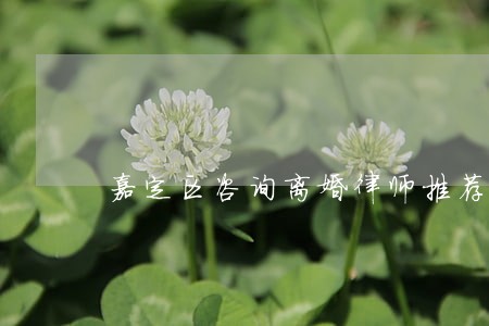 嘉定区咨询离婚律师推荐