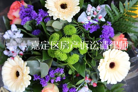 嘉定区房产诉讼请律师 嘉定区房产诉讼请律师