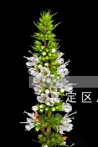 嘉定区房屋买卖律师哪个好